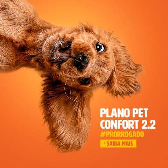 530b1fa8fa23c05a097753b2b50490a6